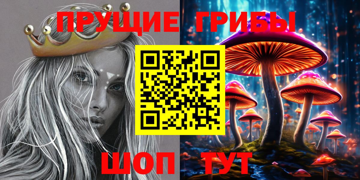 Галлюциногенные грибы GOLDEN TEACHER Кимры